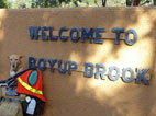 picture of coffee dog under Boyup brook sign