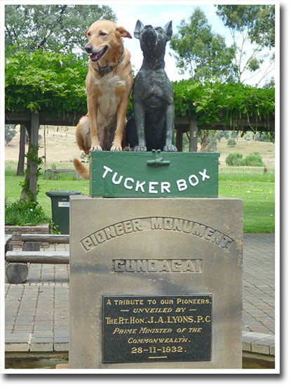 Coffee Dog on the tuckerbox